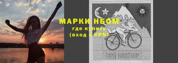 шишки Алексеевка