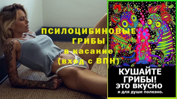 гидра Алзамай