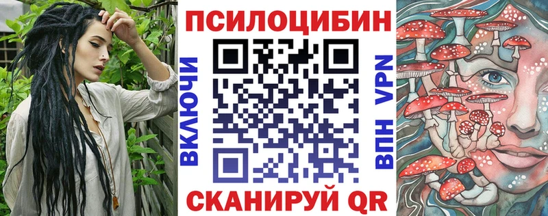 Купить  Вятские Поляны  Псилоцибиновые грибы мицелий 